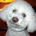 Frankie (@yodacat530) Twitter profile photo Frankie (@yodacat530) Twitter profile photo