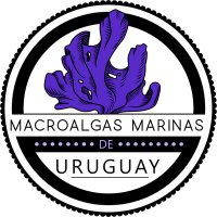 Macroalgas Uruguay (@algasuruguay) 's Twitter Profile