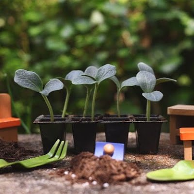 Natural Fide Türkiye’nin en güvenli fide, tohum alışveriş veriş sitesi
https://t.co/IIv0SRHxpU
01/05/2021
Türkiye’nin en güvenilir Tarım ürünleri ve fide tedariği y