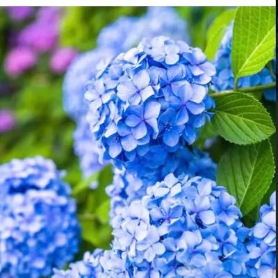 yVYHyXqscez1WT7's profile picture. 50代主婦。基本的に愚痴やボヤキ。子なし。お家大好き。10年に一回のペースで脱毛症。うつ病経験者。人付き合い疲れる。