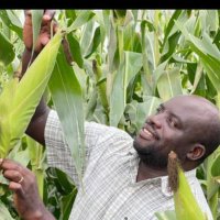 Philip Matombo (@philip_matombo) 's Twitter Profile Photo Philip Matombo (@philip_matombo) 's Twitter Profile Photo