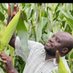 Philip Matombo (@philip_matombo) Twitter profile photo Philip Matombo (@philip_matombo) Twitter profile photo