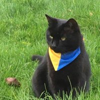 Fiona Hill's Cat(@FionaHillsCat1) 's Twitter Profile Photo