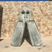 Dr Elica60 (@drelica60) 's Twitter Profile