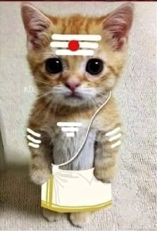 sr1040's profile picture. 