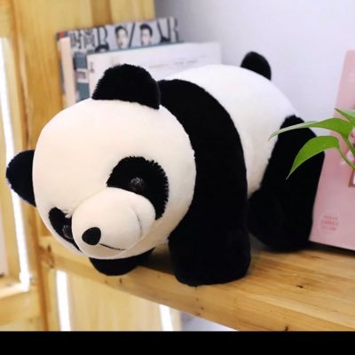 Cody_Papi's profile picture. 