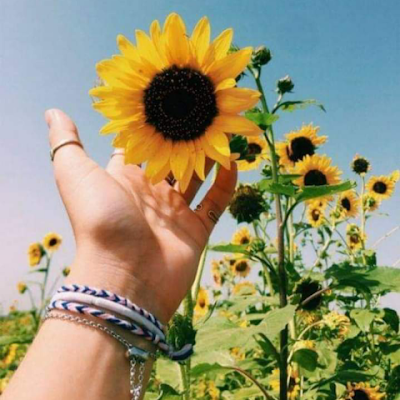 AlexyMendez2's profile picture. 🥰