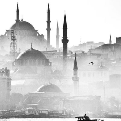 susvedusunsimdi's profile picture. Veritas lux mea.