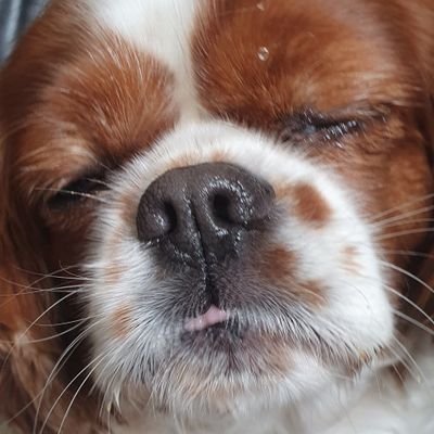Moonkehh_'s profile picture. 
