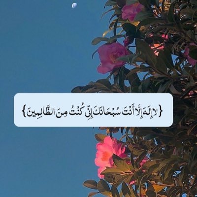 taif_s_98's profile picture. 