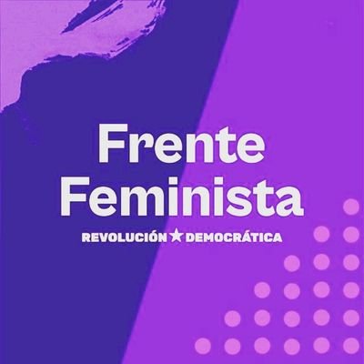 Somos el Frente Feminista de Revolución Democrática en la XV región! ✊🏻💚♀️💜