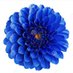 De passage (@_de_passage__) Twitter profile photo De passage (@_de_passage__) Twitter profile photo