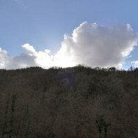 Jaione (@jaione62377041) 's Twitter Profile Photo Jaione (@jaione62377041) 's Twitter Profile Photo