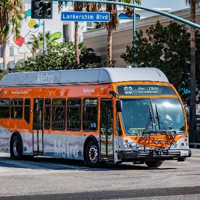 TrAnS1tLuvLA's profile picture. 