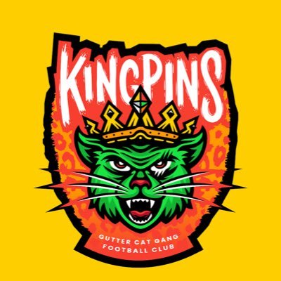 Official Twitter page of @fancontrolled The Kingpins. #PowerToTheFans