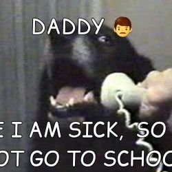 MemeHouse19's profile picture. Funny type who is trying to build up