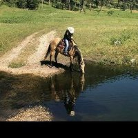 Vicki Kelley (@vickike23568660) 's Twitter Profile Photo Vicki Kelley (@vickike23568660) 's Twitter Profile Photo