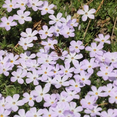 RolfesEva's profile picture. Traveling the World