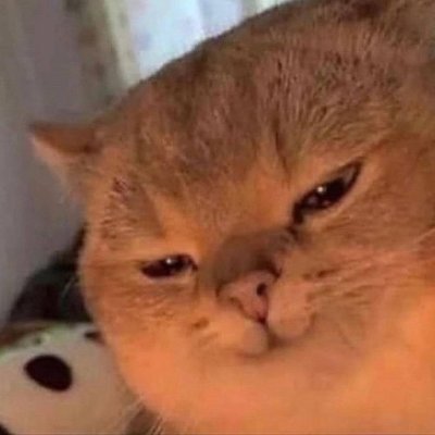 N1yuu's profile picture. 