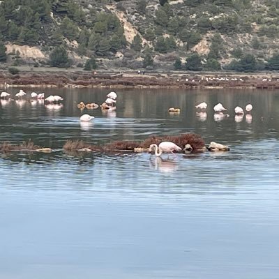 biogeobio's profile picture.