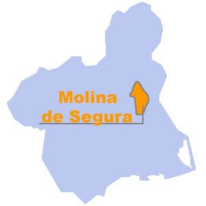Molina de Segura cuenta con 71 890 habitantes (padrón 2019) y una extensión de 169 km². Es el cuarto municipio en importancia de la Región de Murcia.