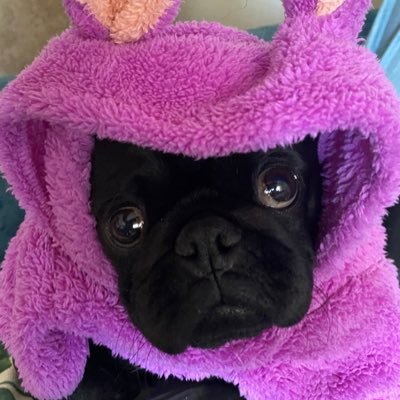 cerenyuzgec's profile picture. 