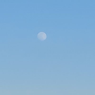Maeneth_99's profile picture. 