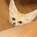 akir (@akilq_) Twitter profile photo akir (@akilq_) Twitter profile photo