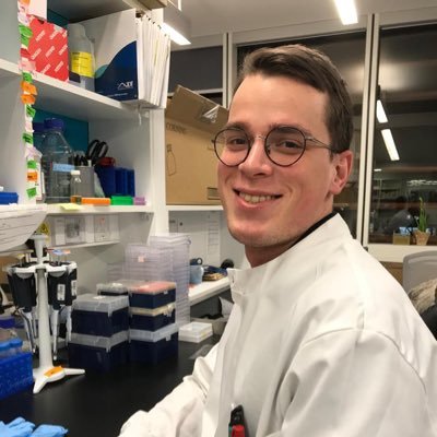 DPhil student in Carvalho lab, Sir William Dunn School of Pathology, University of Oxford. Interested in ER membrane protein quality control.