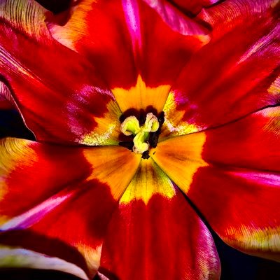 KarmaSJ3's profile picture. FF14 player and Gposer.
Minors Do Not Interact