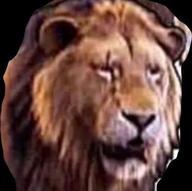 TracyRi13506509's profile picture. 