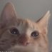 a (@ljfaer) Twitter profile photo a (@ljfaer) Twitter profile photo
