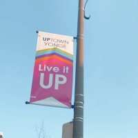 UPtown Yonge(@UptownYongeBIA) 's Twitter Profile Photo