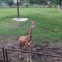 Kami Lance-Holt - @kamiklance - Twitter