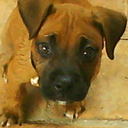 Pedro Ledesma - @PedroLedesma2 - Twitter