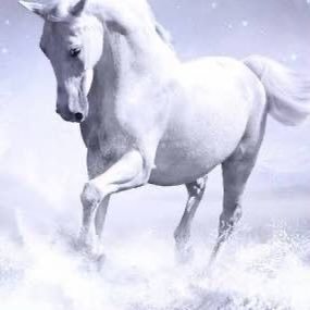 hide49558117's profile picture. 秋田住み