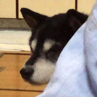 gotoDTI's profile picture. 日本酒とラーメン・饂飩を愛する老化を感じる氷河期世代。
OracleCloud,AWS チョトワカル
ツイートは私個人の見解で所属組織とは関係ありません