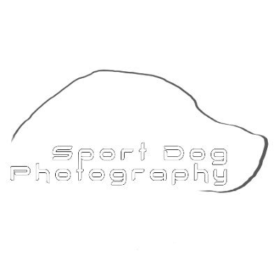 SportDogPhoto Profile Picture