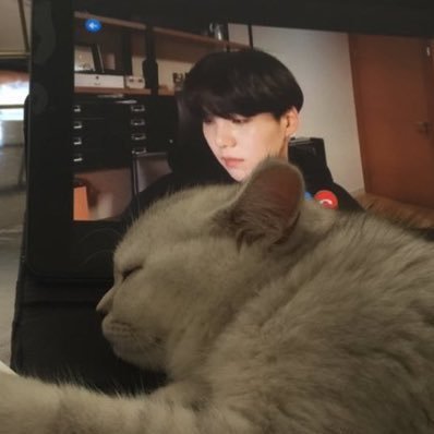 minpdpd's profile picture. 