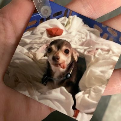 KristenJones47's profile picture. I am a mother of three awesome kids, married to the love of my life, a teacher, reality t.v. junkie and a huge football fan!