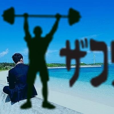 投資家💴会社経営 妻はフィリピン人
#資産運用 2019年/5月〜
#月収15万💸 から脱出して #ドバイ移住 しました🔥
投資歴7年目💪🏽 XRPしか勝たん