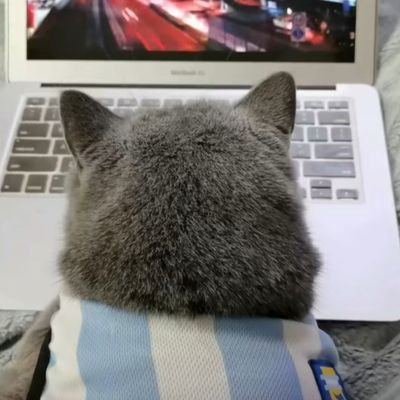 Chuchu896834640's profile picture. 5号男技师， 单身