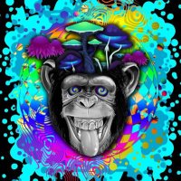Justin K (@somd_dabber17) 's Twitter Profile