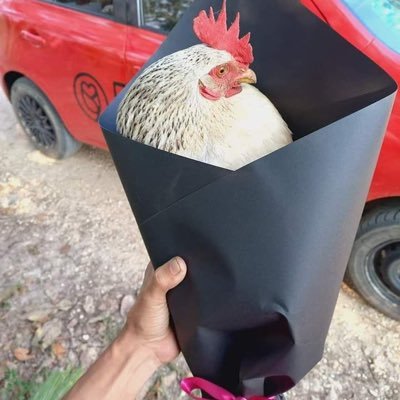 Kriz34528693's profile picture. 