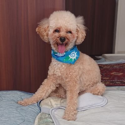 taiyo_sindai's profile picture. 三国丘→神戸大学農学部応用生命化学コース
@taiyo_nakanishi
←プライベート