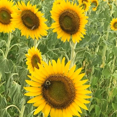 MicheleBHem's profile picture. 