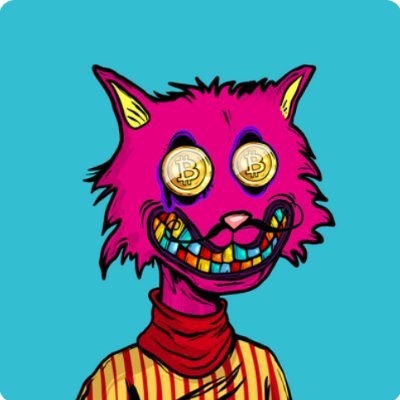 Anxh.croさんのプロフィール画像
