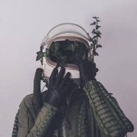 ₿ (@plantddd) 's Twitter Profile