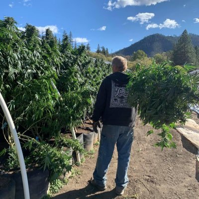 WillTVF's profile picture. Farm Owner Operator, Patriot, FJB 🇺🇸