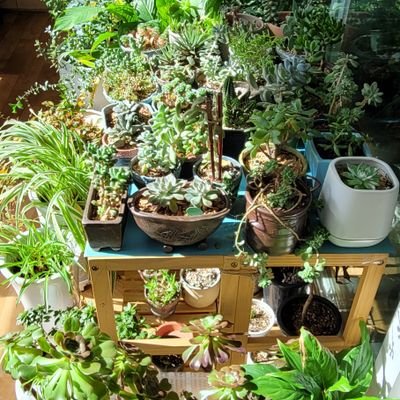 rbEqUWynBc78Lfr's profile picture. 내가 우리의 역사에서 마음아프고 안타깝게 생각하는게 딱 3가지가 있다.
첫째, 삼국통일을 고구려가 못한 것이고...
둘째, 해방후 초대 대통령을 김구 선생이 못한 것이고...
셋째, 남북전쟁때 한반도가 통일 되지 못한 것이다.